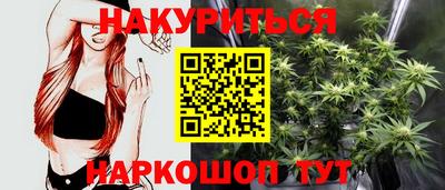 индика Шебекино