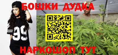 индика Шебекино