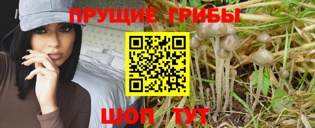 Галлюциногенные грибы прущие грибы  Вход с VPN  Барнаул 