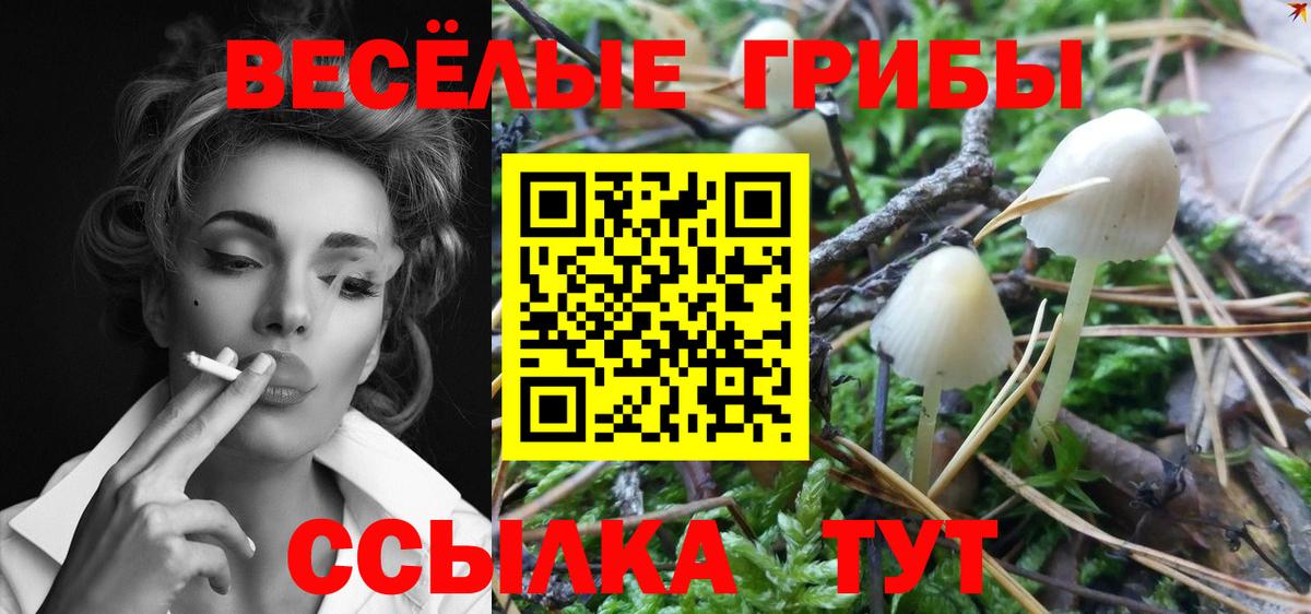 Галлюциногенные грибы мухоморы Барнаул